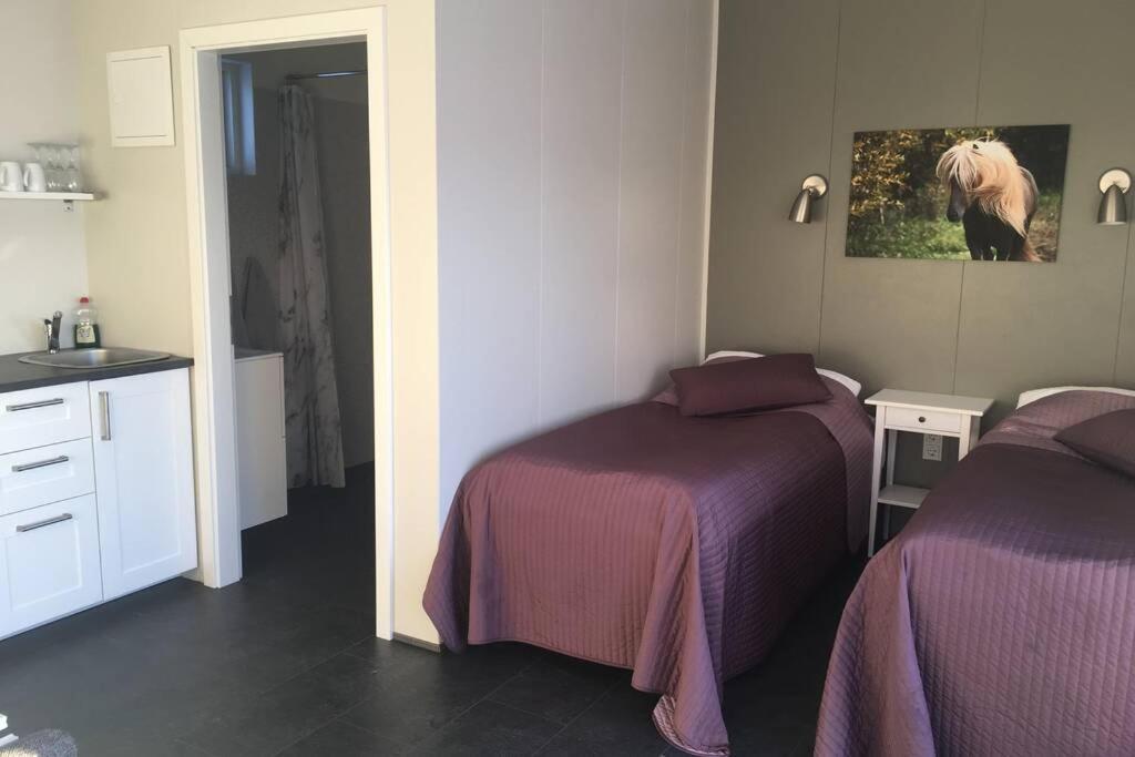 Stryta Apartment 3 Olfus ภายนอก รูปภาพ
